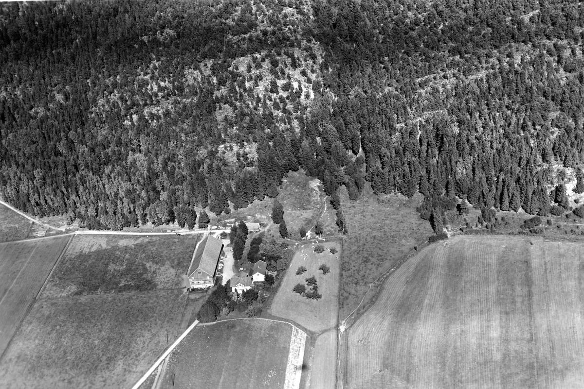 Søndre Valler sett fra lufta, 1951. Foto: Widerøes Flyveselskap / Telemark Museum (CC BY-ND). Bildet er gjengitt ubearbeidet.