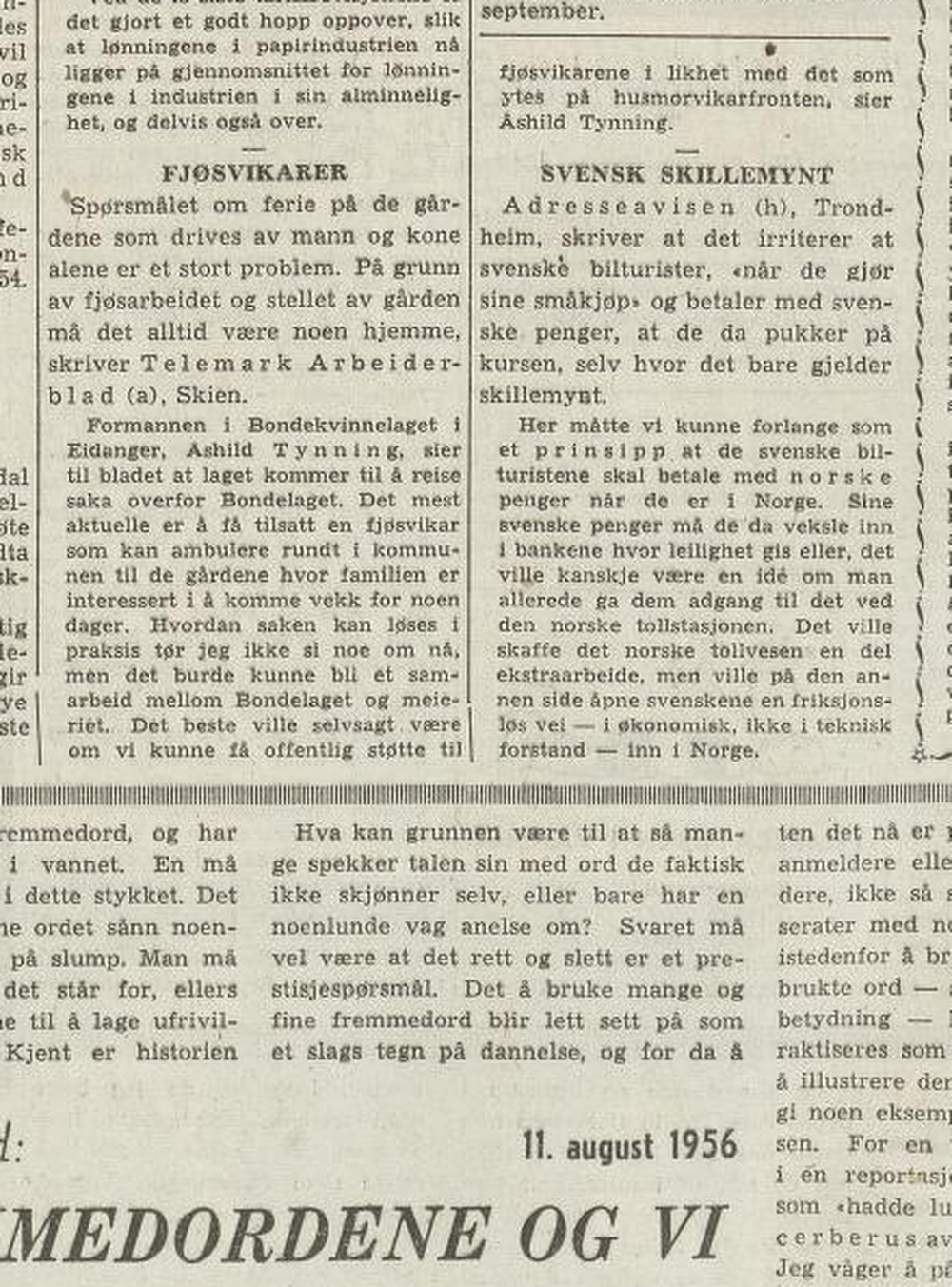 Avisutklipp fra Arbeiderbladet i 1956 med artikkelen «Fjøsvikarer», der Åshild Tynning uttaler seg.