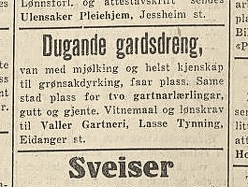 Stillingsannonse fra Valler Gartneri i 1931 med Lasse Tynning som kontaktperson.