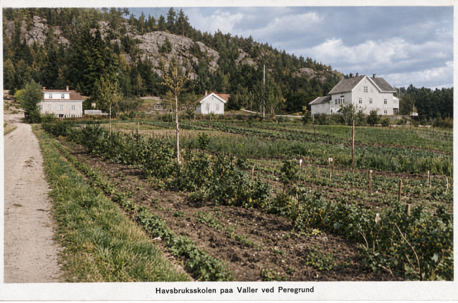 Havebruksskolen på Valler, 1909 til 1917