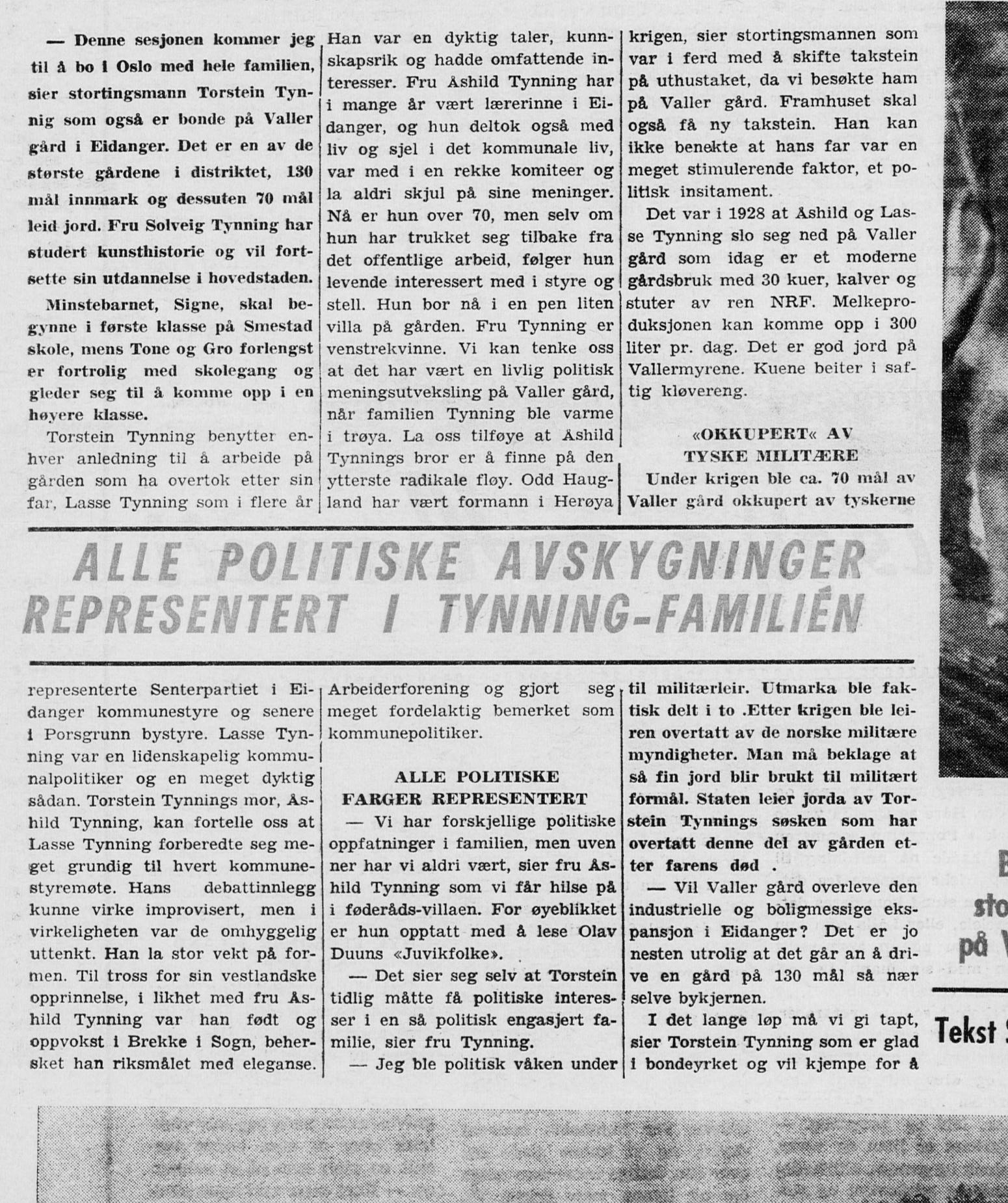 Avisutklipp fra Porsgrunns Dagblad i 1970 med overskriften «Alle politiske avskygninger representert i Tynning-familien».